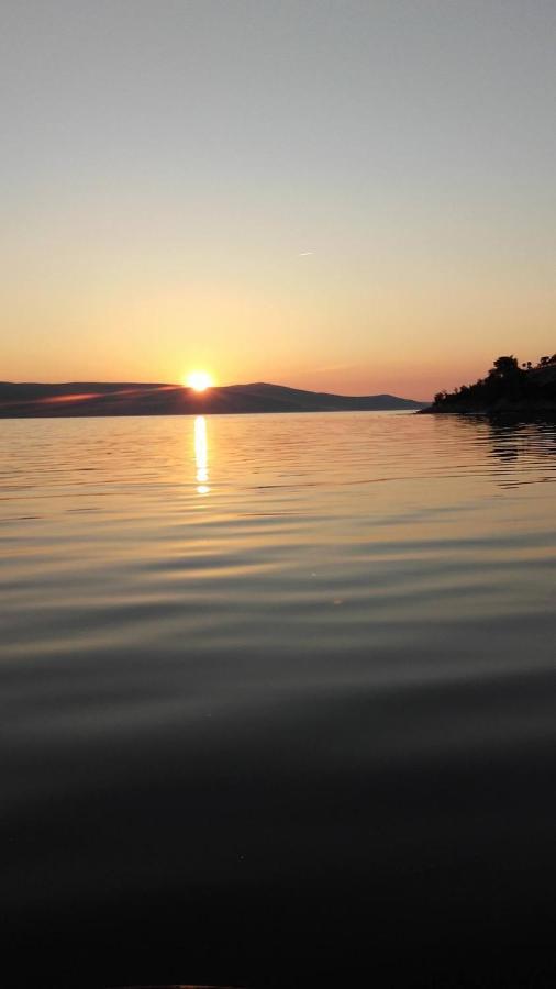 Apartman Larus Starigrad Paklenica Eksteriør billede