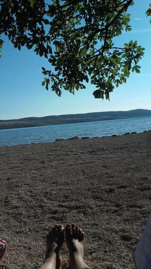 Apartman Larus Starigrad Paklenica Eksteriør billede